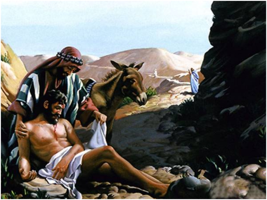 Chúa Nhật 15 Thường Niên