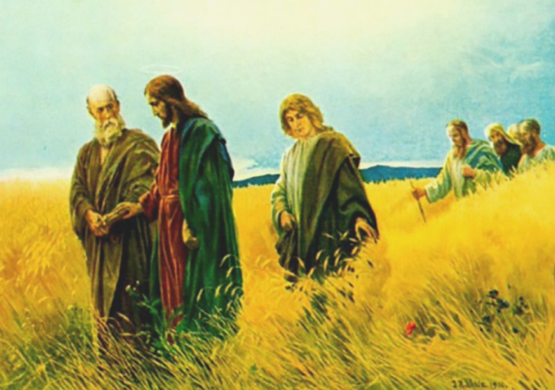 Thứ Ba Tuần 14 Thường Niên