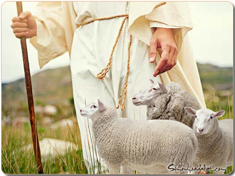 DẪN VÀO THÁNH LỄ VÀ SUY NIỆM CHÚA NHẬT 4 PHỤC SINH – B