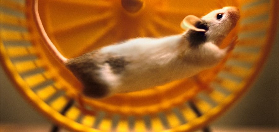 TẠI SAO CHÚNG TA THƯỜNG MONG MUỐN NHỮNG ĐIỀU KHÔNG TỐT?