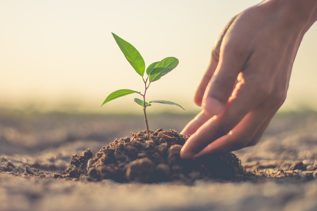 TẠI SAO NGÀY 1/9 HẰNG NĂM LÀ NGÀY THẾ GIỚI CẦU NGUYỆN CHO VIỆC CHĂM SÓC THIÊN NHIÊN?